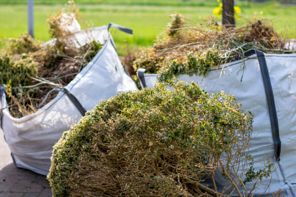 Best Trash Removal Near Me  in Nashwauk, MN