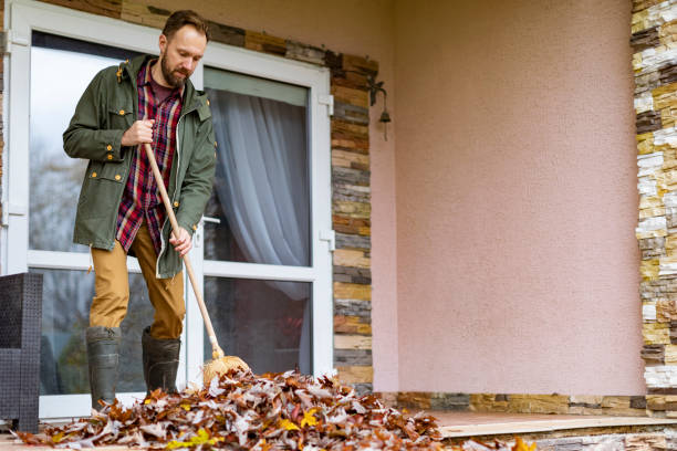 Best Full-Service Junk Removal  in Nashwauk, MN
